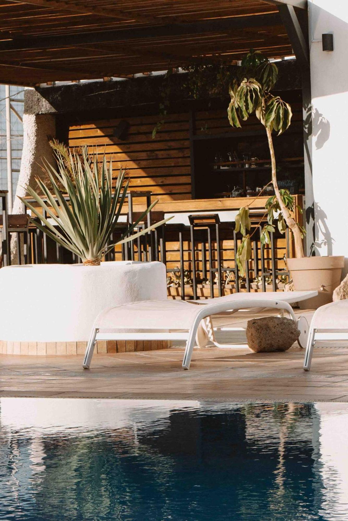 The Tree House Tenerife El Médano Екстериор снимка